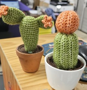 cactuses