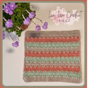 Eloquence Dishcloth Kit