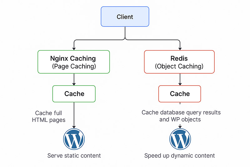 Flowchart showing the differences between Nginx page caching and Redis object caching for WordPress. Nginx serves static HTML, while Redis caches database queries and objects.
